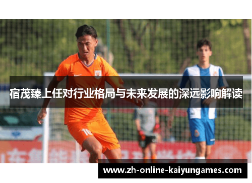 宿茂臻上任对行业格局与未来发展的深远影响解读