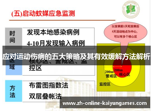 应对运动伤病的五大策略及其有效缓解方法解析