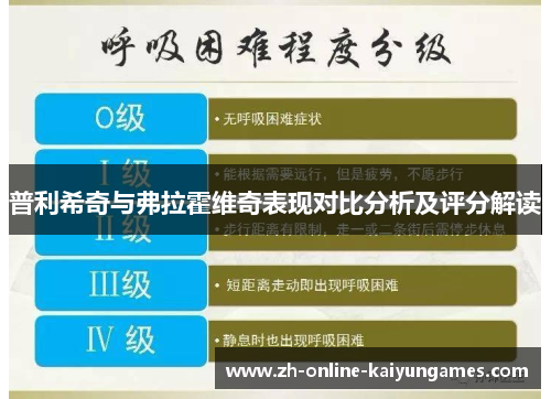 普利希奇与弗拉霍维奇表现对比分析及评分解读