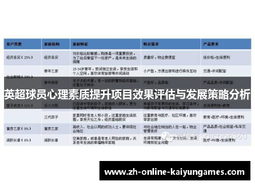 英超球员心理素质提升项目效果评估与发展策略分析